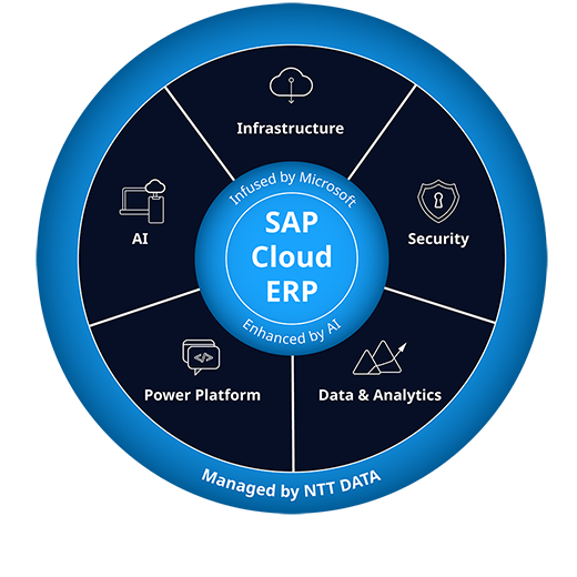 NTT-DATA-Microsoft-Services-Wheel-SAP-Cloud-ERP-520x520px-align-top