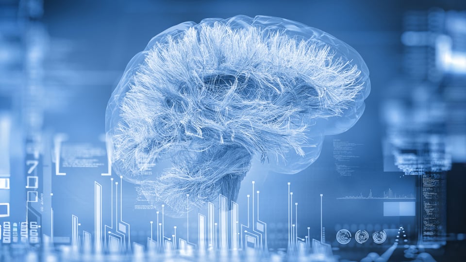 Text-Media_Image-Picture-Brain-Connections-20160413-GLO-EN-1